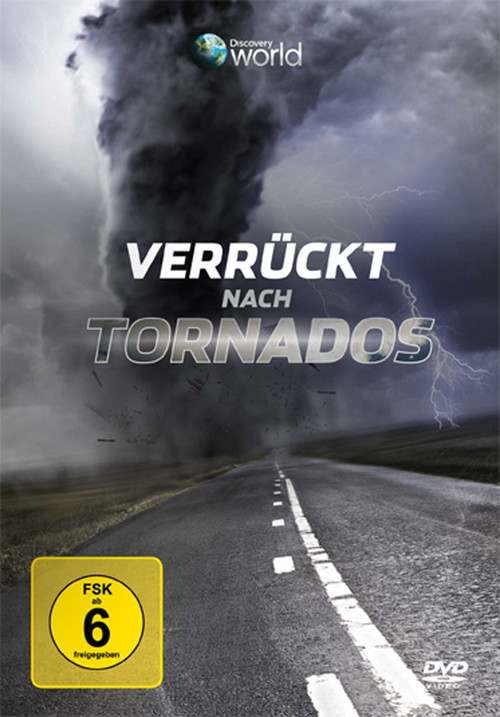 Verrückt nach Tornados (2009) poster