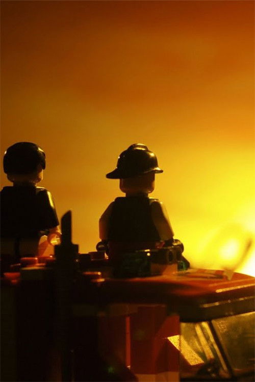 COPYRIGHT (2011) poster