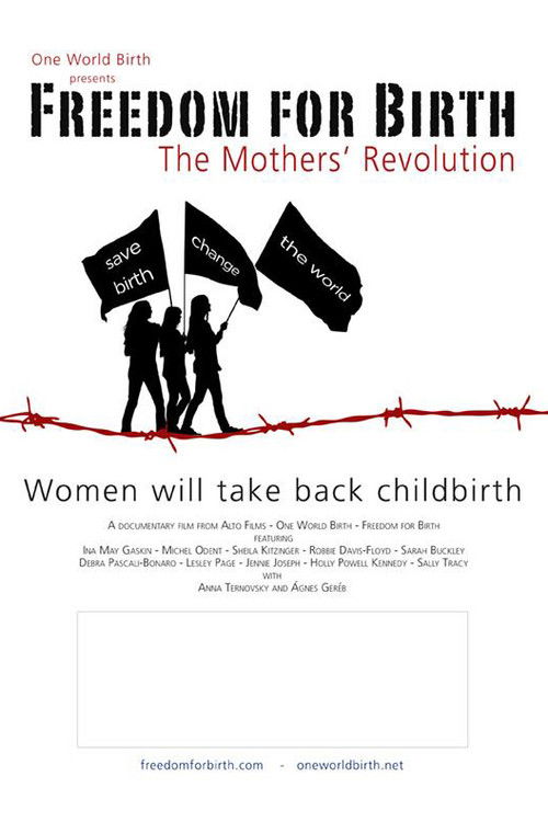 Freedom For Birth (2012) poster