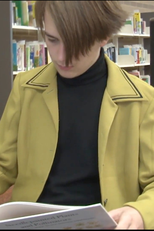 Something Out of Everything (2024) poster