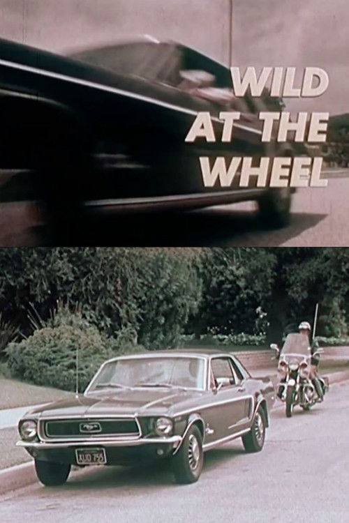 Wild at the Wheel (1973) poster