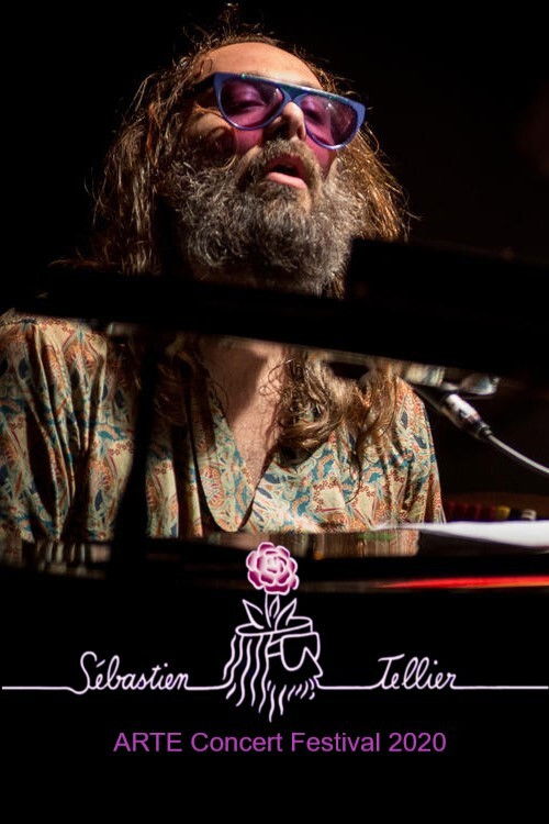 Sébastien Tellier au ARTE Concert Festival (2020) poster