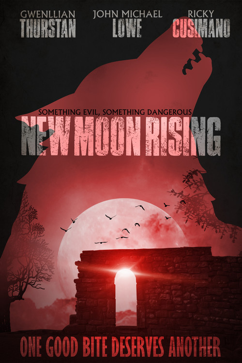 Something Evil, Something Dangerous: New Moon Rising (2011) poster