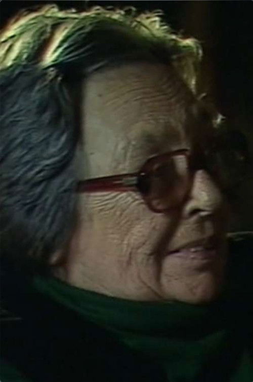 La Dame des Yvelines (1984) poster