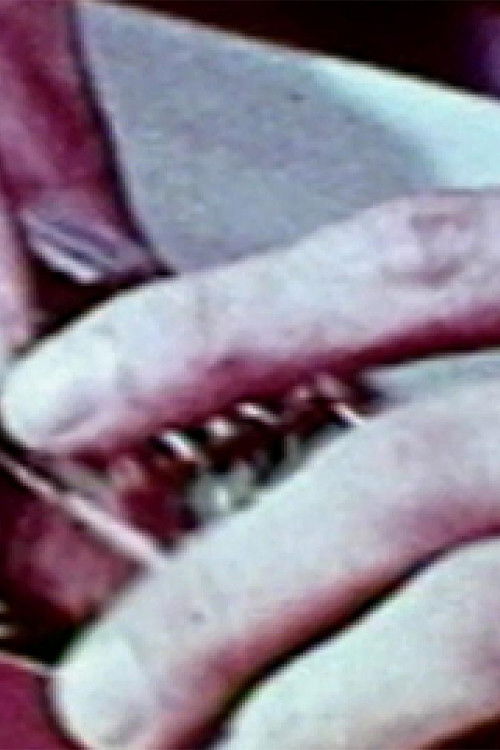 The Hundred Videos #5 (1996) poster