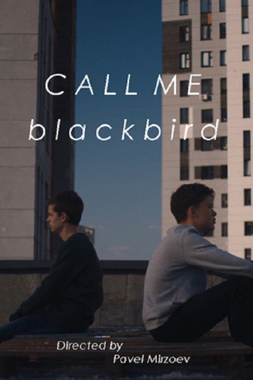 Call Me Blackbird (2020) poster