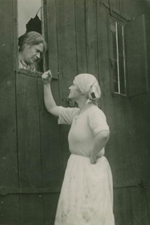 Hemslavinnor (1923) poster