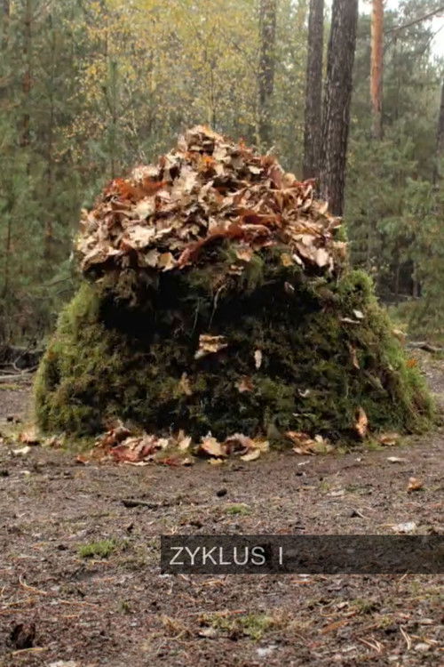 Zyklus I (2010) poster