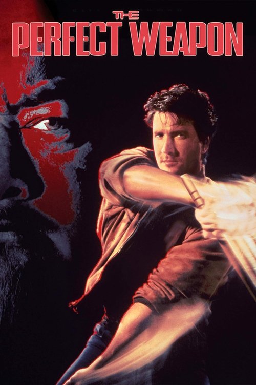 Kusursuz Silah (1991) poster