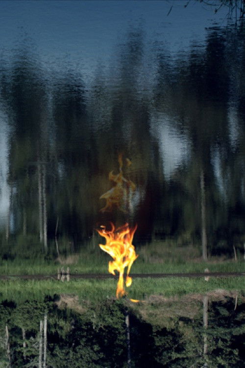 Delphi Falls (2017) poster