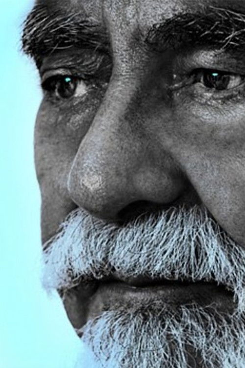 Expropriation (1976) poster