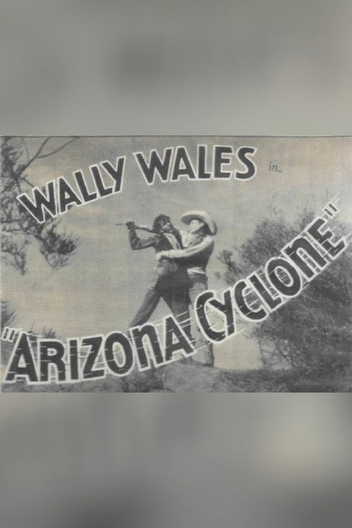 Arizona Cyclone (1934) poster