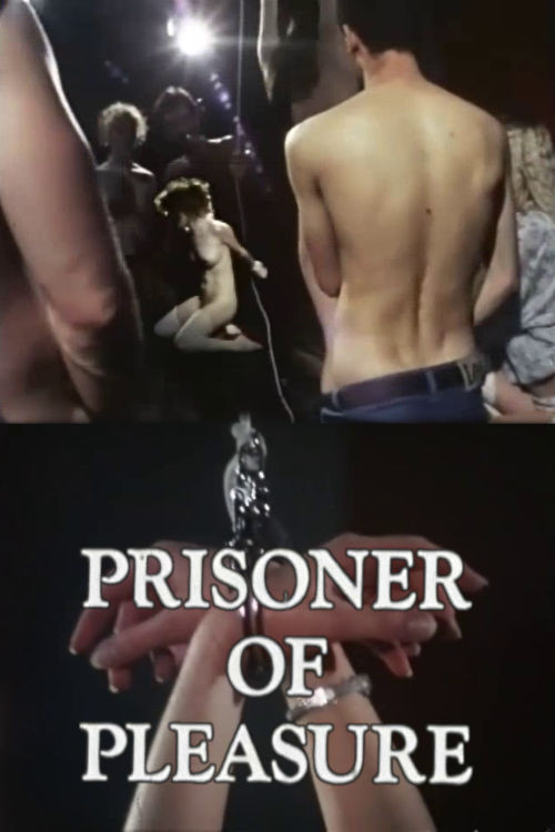 Prisoner of Pleasure (1981) poster