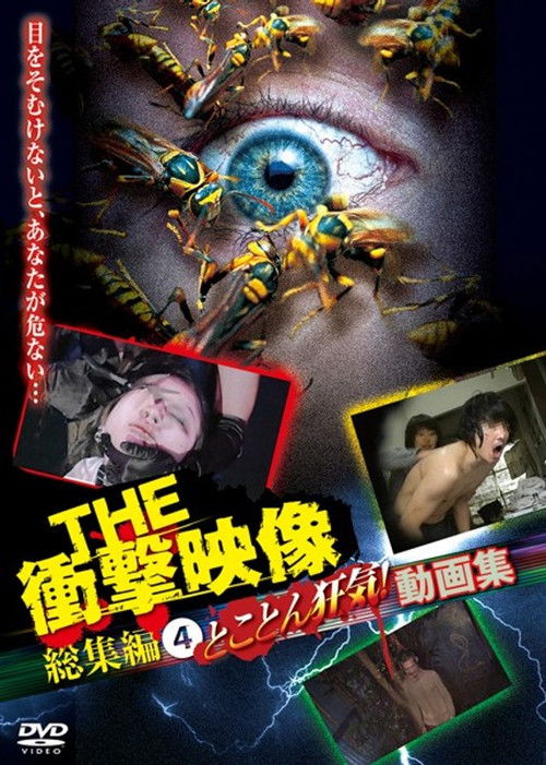 THE Shōgeki Eizō Sōshūhen (4) Tokoton Kyōki! Dōga-shū (2013) poster