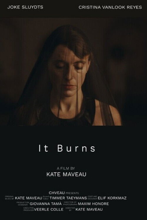 It Burns (2024) poster