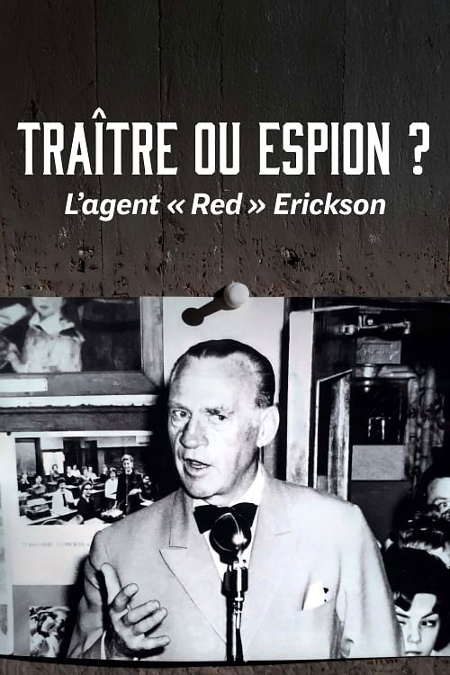 Der vergessene Spion - Verkürzte ein Verrat den Zweiten Weltkrieg? (2025) poster