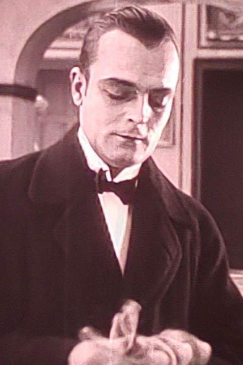 Der Pokal der Fürstin (1920) poster