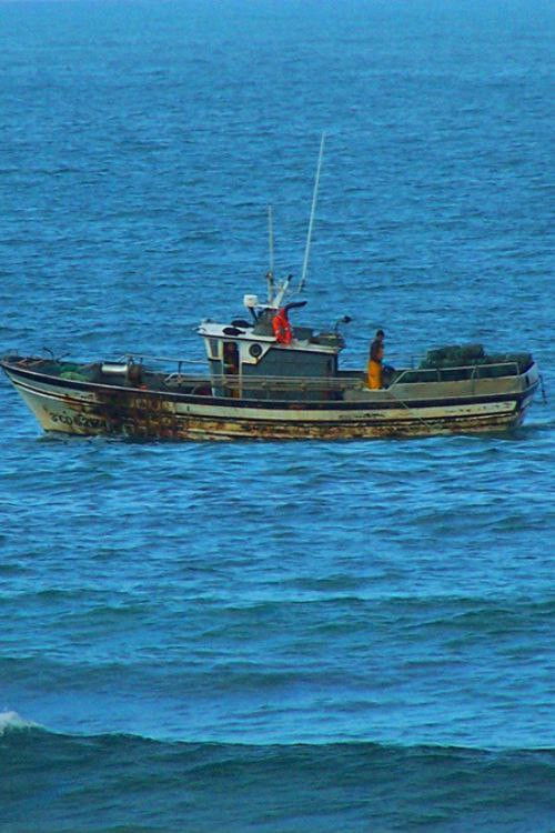 Anacos da Galiza (2014) poster