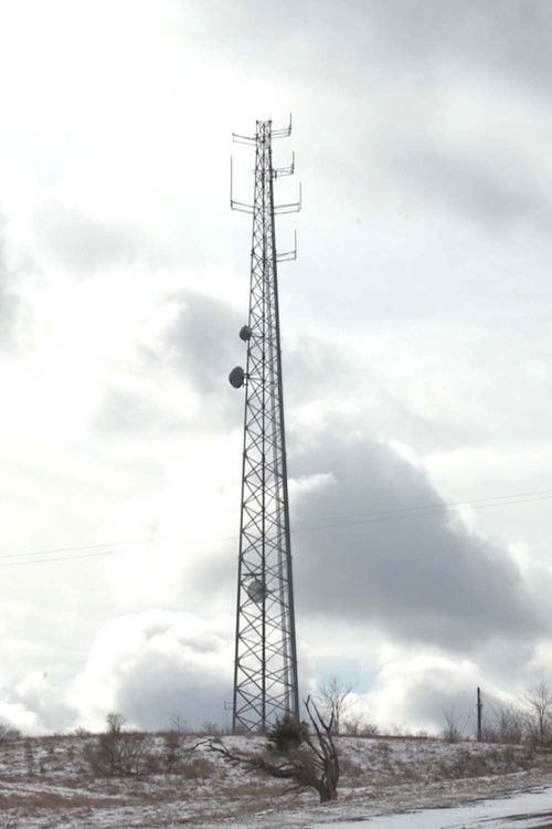 Cellular (2017) poster