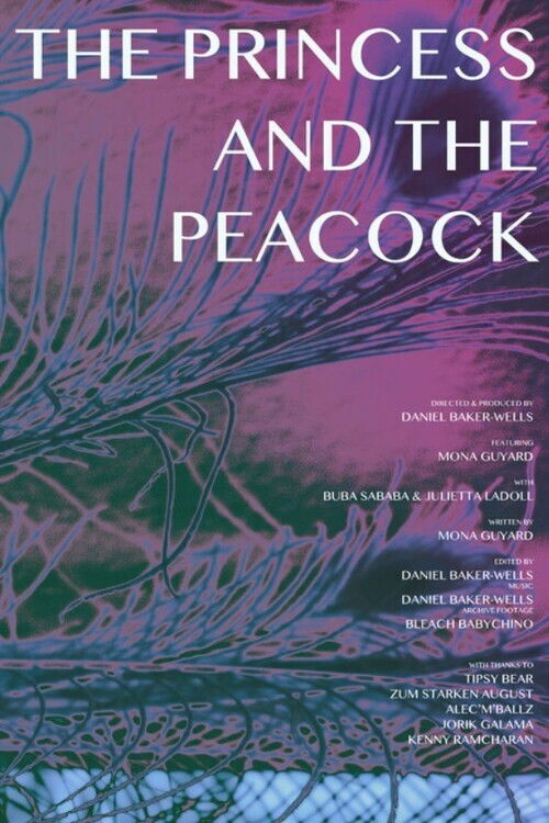 The Princess and the Peacock (2024) poster