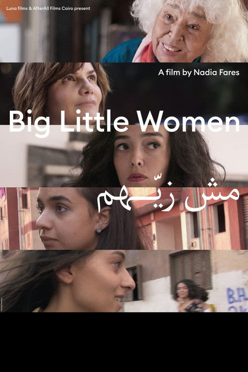 Big Little Women (2022) poster