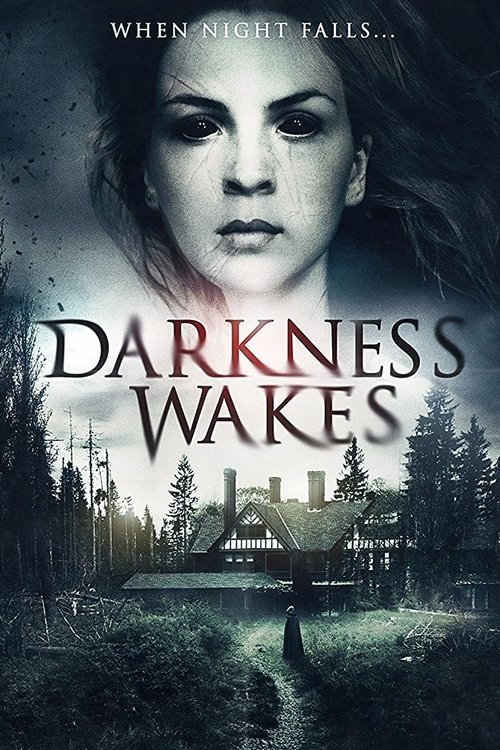 Darkness Wakes (2017) poster