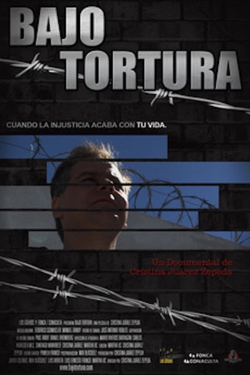 Bajo Tortura (2013) poster