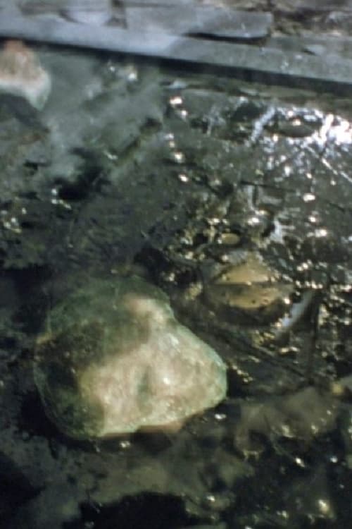 Faces of Death (2023) poster