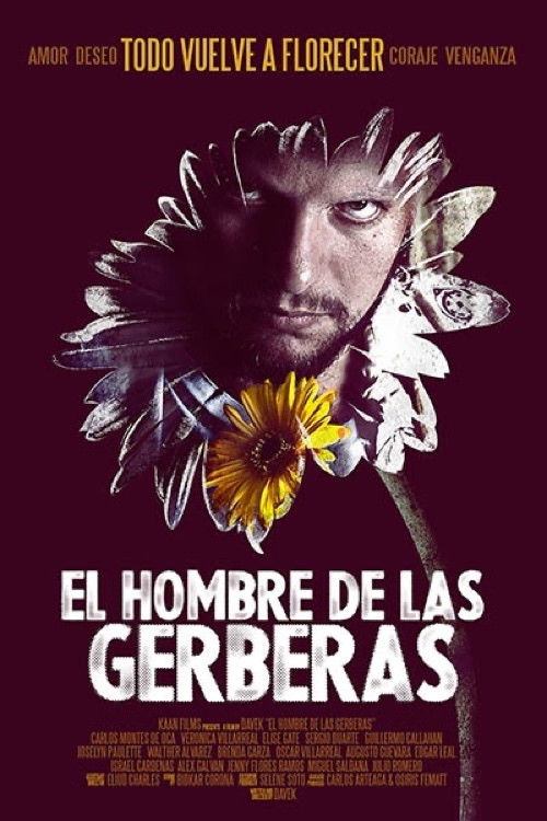 The Man of the Gerberas (2013) poster