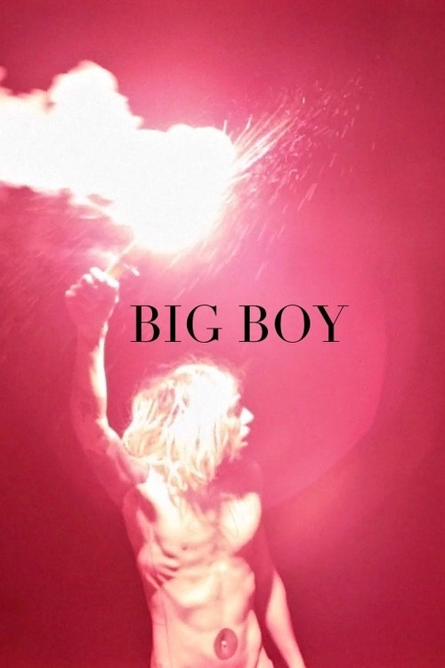 Big Boy (2015) poster
