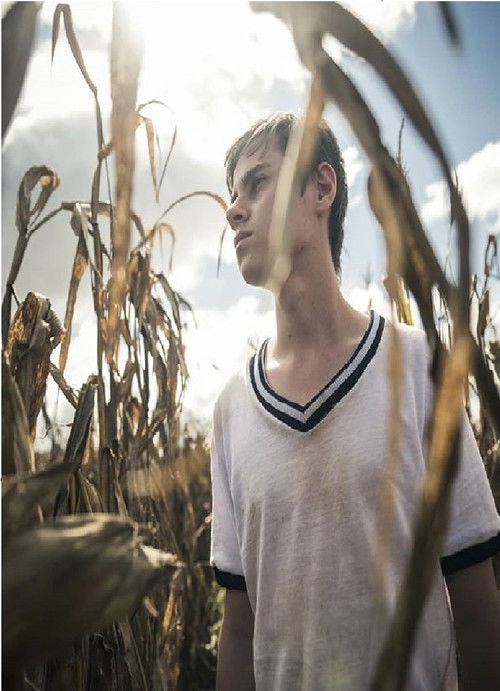 ORODETOLO (2017) poster