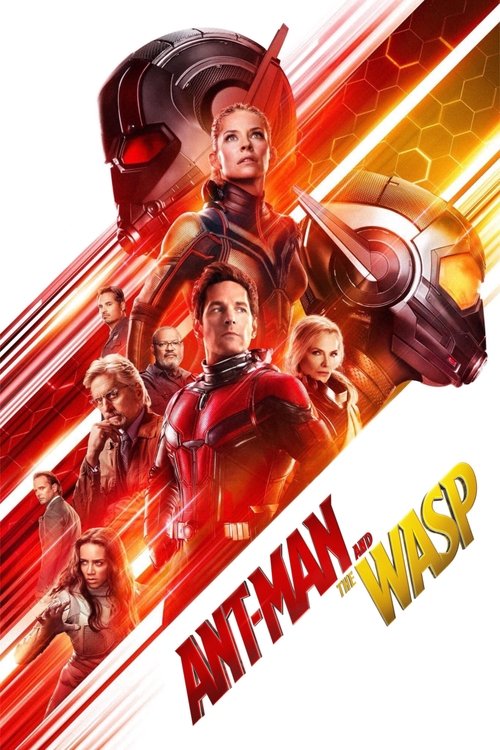 Ant-Man ve Wasp (2018) poster