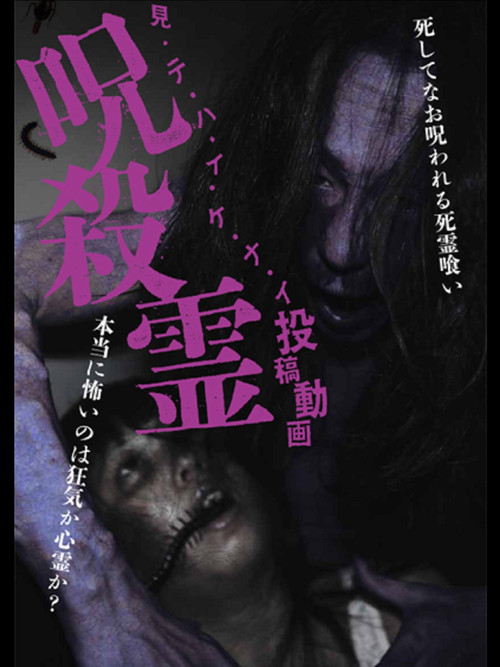 Mitehaikenai: Toko Doga Jusatsu-rei (2013) poster