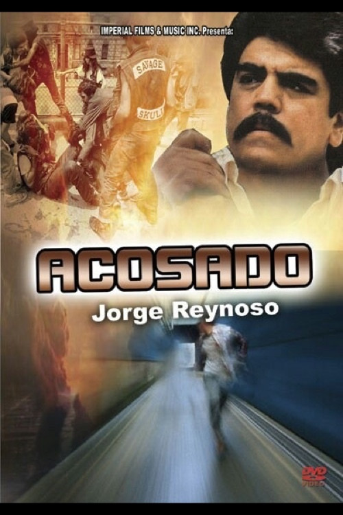 Acosado (1991) poster