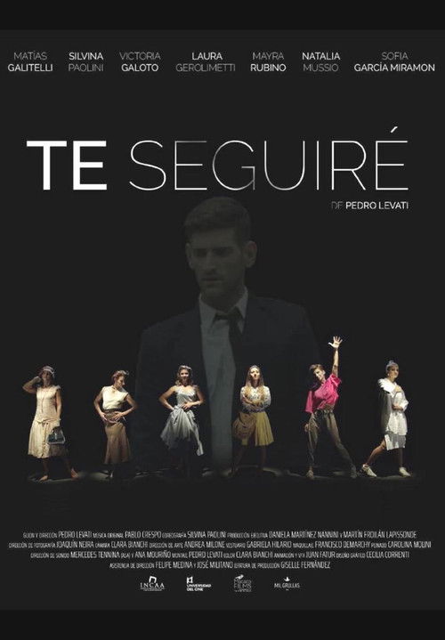 Te seguiré (2019) poster