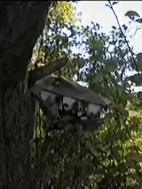 Goshzilla (1998) poster