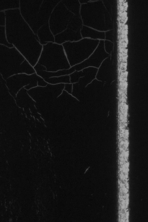 PUEDO VER TODO MENOS MIS OJOS (2019) poster