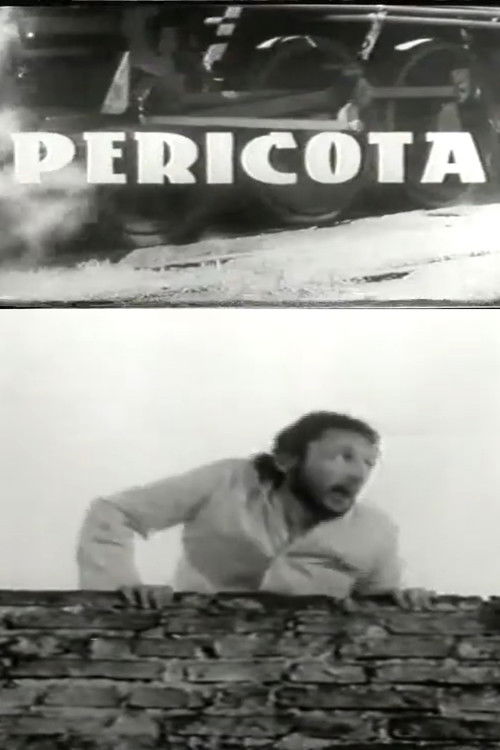 Pericota (1969) poster