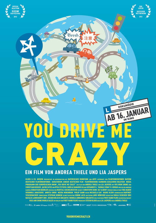 You Drive Me Crazy (2012) poster