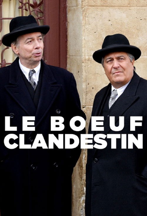 Le Bœuf clandestin (2013) poster