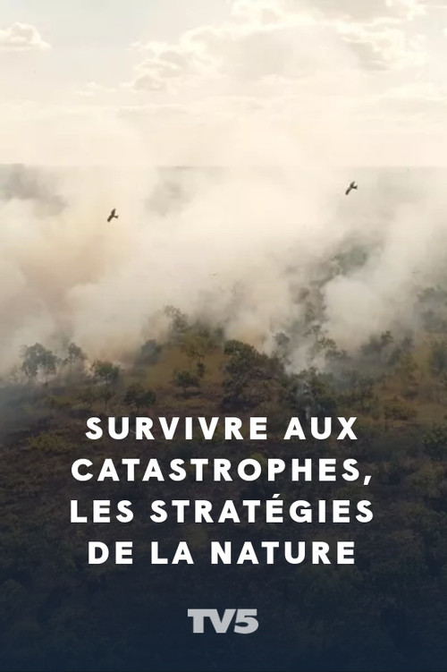 Survivre aux catastrophes, les stratégies de la nature (2020) poster
