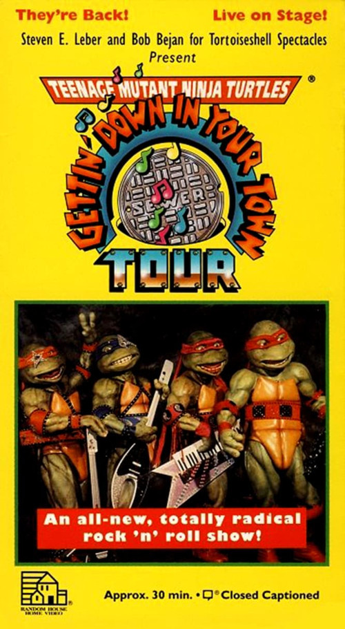 Teenage Mutant Ninja Turtles: Getting Down In Your Town (1992) poster
