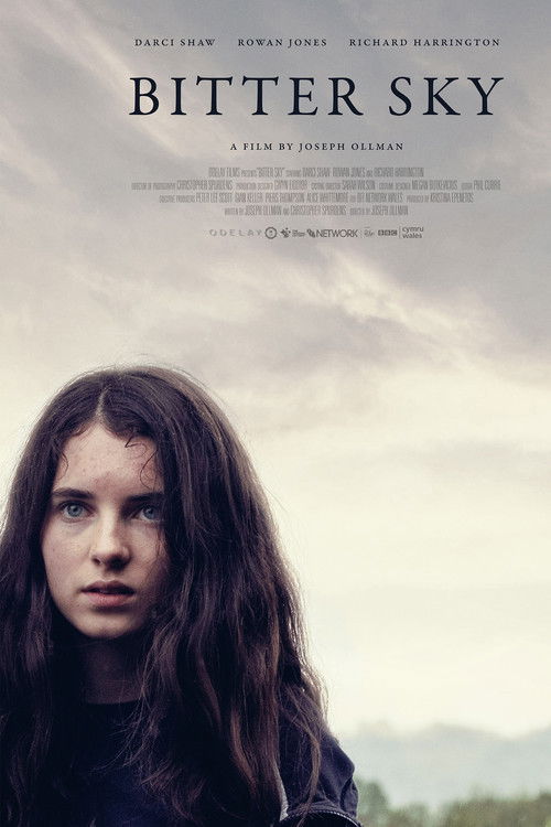 Bitter Sky (2019) poster