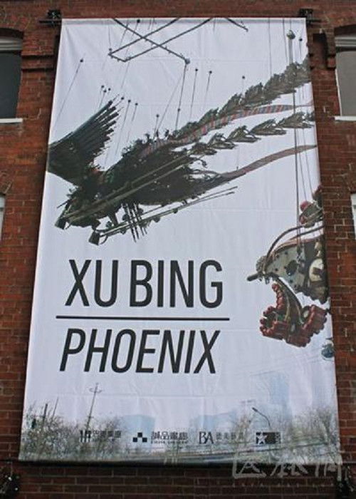 Xu Bing: Phoenix (2013) poster