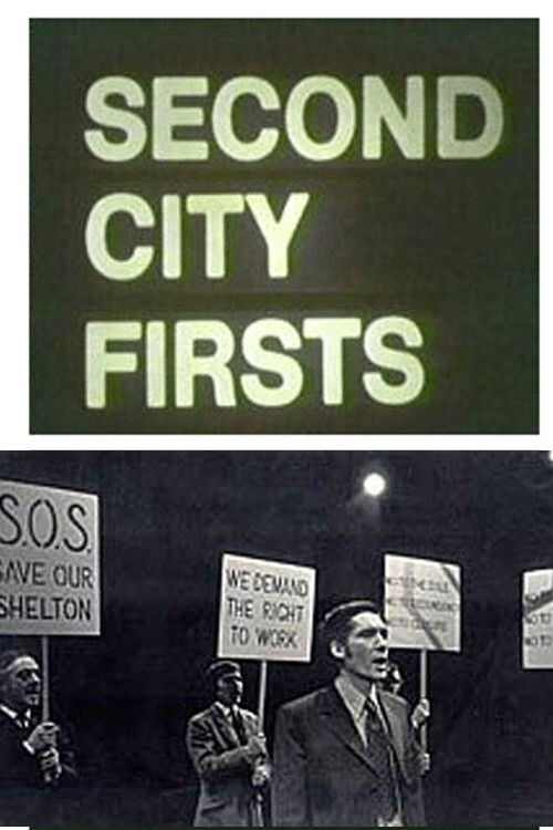 The Fight For Shelton Bar (1974) poster