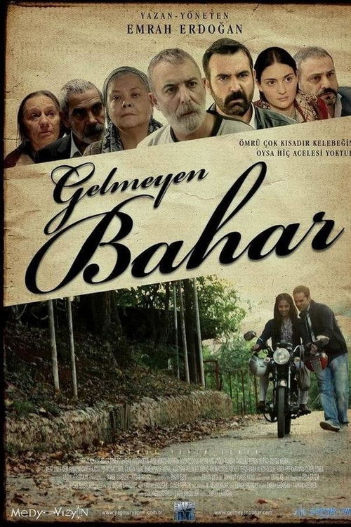 Gelmeyen Bahar (2013) poster