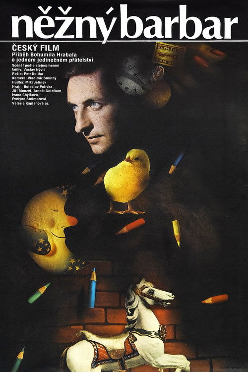 The Gentle Barbarian (1990) poster