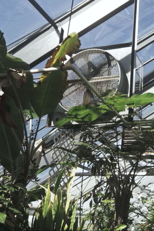 There are things in this world that are yet to be named (2020) poster