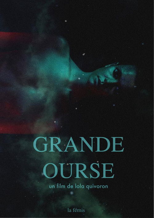 The Great Bear (2013) poster