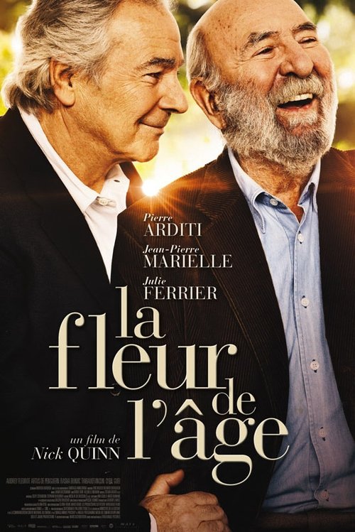 La Fleur de l'âge (2013) poster